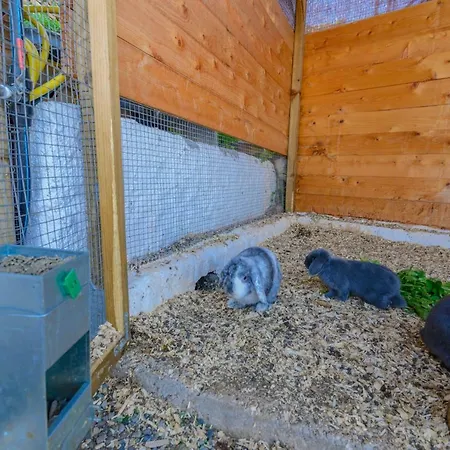 Complejo Rural El Mirador * Малага